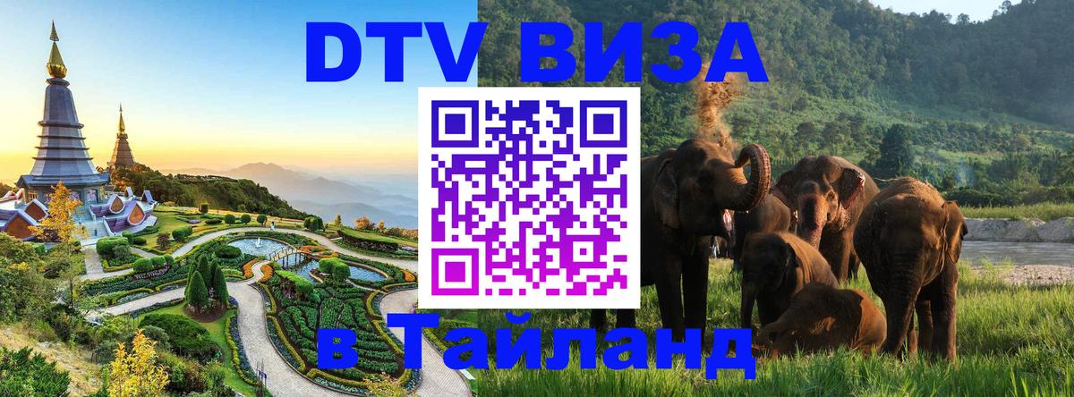 Оформление DTV визы под ключ: стоимость и тарифы, только загранпаспорт - 20.11.2025 
